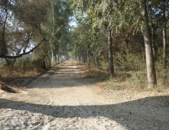 Punjab – The Blissful Plains