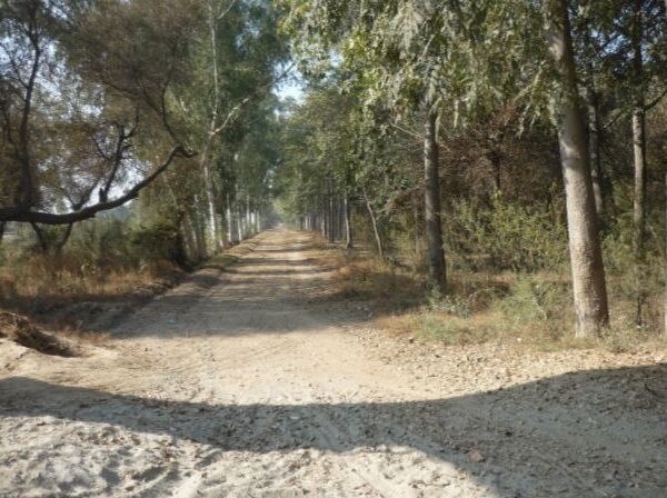 Punjab – The Blissful Plains