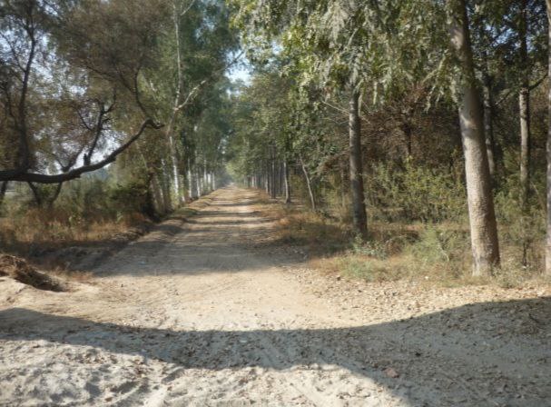 Punjab – The Blissful Plains